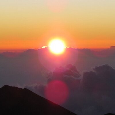 Profile Picture of Melissa Ardon (@melibella) on Twitter