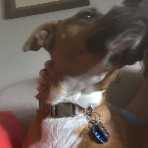 Janna Pettegrew - Poshmark Profile Picture of Janna Pettegrew (@jannalee89) on Poshmark