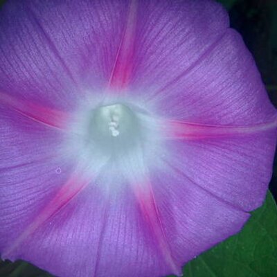 Profile Picture of Debbie Ouellette (@debouelete3) on Twitter