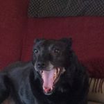 Profile Picture of Tobias Antony Andrews (@unkie_tobes) on Instagram