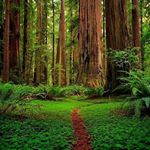 Profile Picture of Eunice Mayiamei (@misstourismkajiado2018_2020) on Instagram