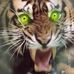 Profile Picture of Batu's Aja (@batus.aja) on Facebook