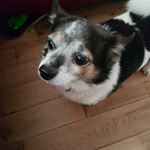 Profile Picture of Mitchell Collins (@mitchell.collins.05) on Instagram