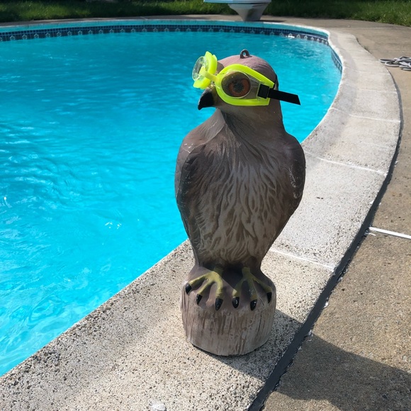 Profile Picture of Edward Diggin (@recoveryseller) on Poshmark