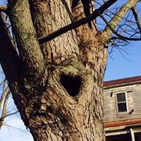 Profile Picture of Shawna West (@shawna-west-3) on Quora