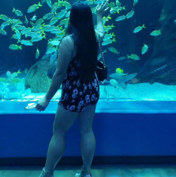 Profile Picture of L Lee (@loveisfreedom77) on Poshmark