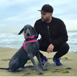 Profile Picture of TOTO’ COPPOLINO (@totocop) on Instagram