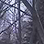 Profile Picture of Jake Mason (@busracer911) on Flickr