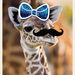 Profile Picture of Lucy Driver (@16ldriver) on Pinterest