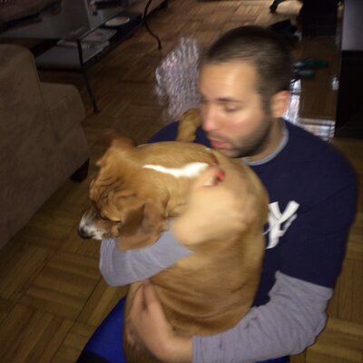 Profile Picture of Dan Metzger (@d69metz) on Twitter