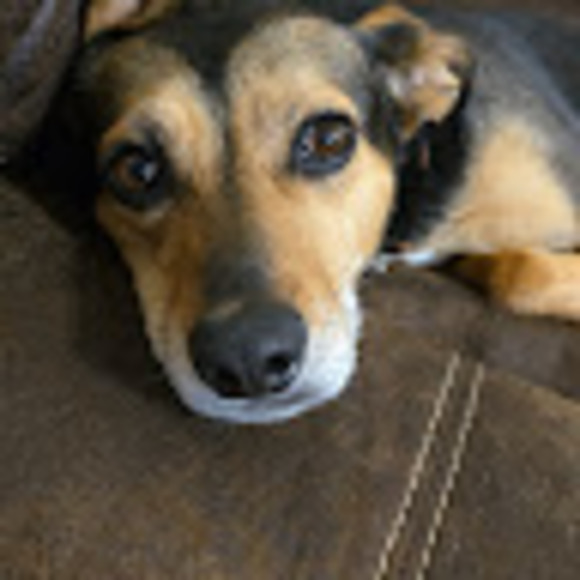 Profile Picture of Jesse Whaley (@jwwhaley) on Poshmark