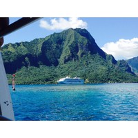 Profile Picture of Paul Willmore (@paul-willmore-1) on Quora