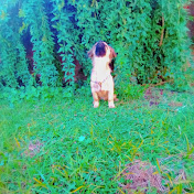 Profile Picture of Rochi  (@rochi-n2t) on Youtube