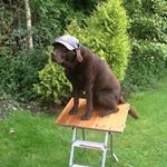 Profile Picture of pamcleary1st (@pamcleary1st) on Instagram