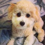 Profile Picture of Penny Lane (@penny_post) on Instagram