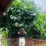 Profile Picture of Nandini Sethia. (@_nandini_sethia_) on Instagram