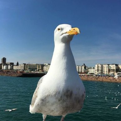 Profile Picture of Sandra Thomas (@thesandrathomas) on Twitter