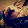 Profile Picture of Doris Bucher (@@dorisbucher) on Tiktok