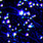 Profile Picture of Deepopcorn (@deepopcorn) on Flickr