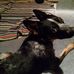 Profile Picture of Charles Lindsay (@charles.lindsay.33449) on Facebook