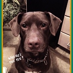 Profile Picture of Michael Mccall (@yvljhkba82) on Flickr