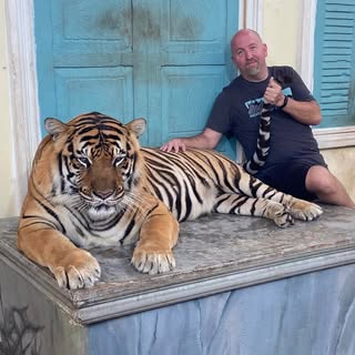 Profile Picture of Mathew Balk (@mathewbalk) on Instagram