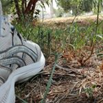 Profile Picture of Carl Ziess (@carl.zi) on Instagram