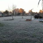 Profile Picture of jorge piñera (@jorge.pinera) on Instagram