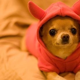 Profile Picture of summer drew (@drew1445) on Pinterest