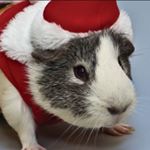 Profile Picture of Connor Paulson (@connorpaulson7) on Instagram