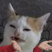 Profile Picture of Eric Robledo (@ericrobledo640) on Youtube