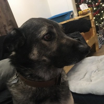 Profile Picture of Jesse Gilbertson (@JesseGilberts11) on Twitter