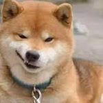 Profile Picture of 看自介不退追 請回追大帳🌸 (@skr_167) on Instagram