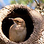 Profile Picture of Catherine Chandler (@catherine.chandler.poetry) on Flickr