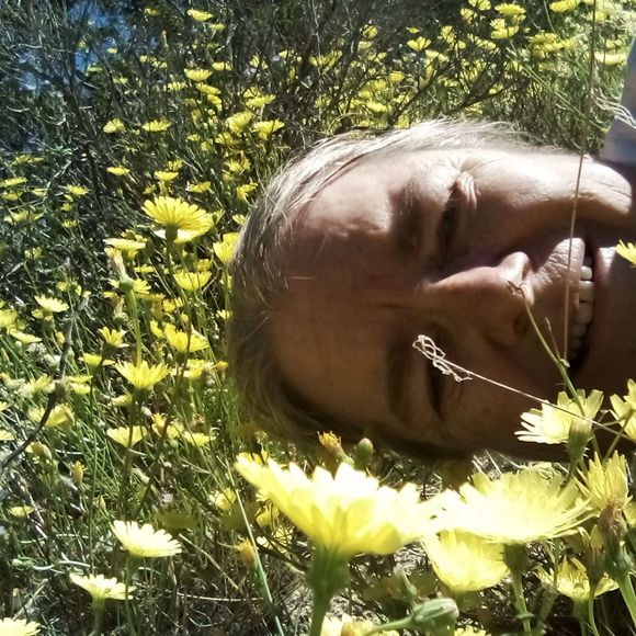 Profile Picture of Natalie Mcsparran (@nmcsparran) on Poshmark