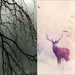 Thomas Ribbeck - Instagram Profile Picture of Thomas Ribbeck (@peaks_and_sorrow) on Instagram