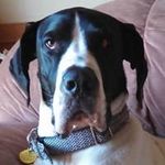 Profile Picture of Barb Hagen Cullen (@barbhagencullen) on Instagram