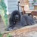 Profile Picture of Dennis Keener (@dennis.keener.714) on Facebook