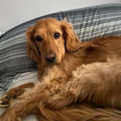 Profile Picture of Jason Goodrich (@Jasongoodrich05) on Twitter