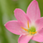 Profile Picture of Mark Hsu (@EnergyStar2009) on Flickr