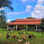 Apolonio Martínez - Facebook Profile Picture of Apolonio Martínez (@Apolonio-Martínez) on Facebook