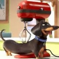 Profile Picture of Joshua Deanda-whaley (@joshua-deanda-whaley) on Quora