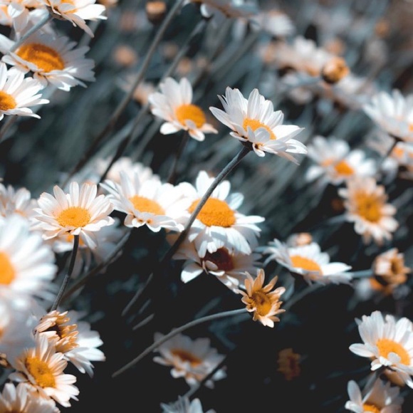 Profile Picture of Jordan Lucio (@jordanlucio867) on Poshmark