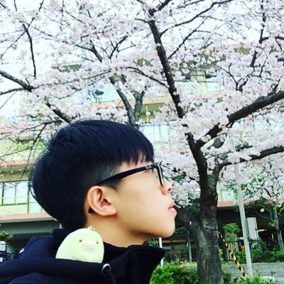 Profile Picture of Chi Hoang (@chihoang510) on Twitter