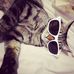 Profile Picture of Rene Scharf (@rene.scharf.7777) on Facebook