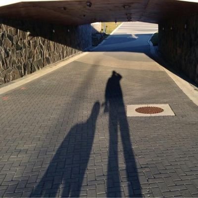 Profile Picture of Shawn Sweezey (@ShSweeze) on Twitter