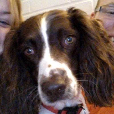 Profile Picture of Marilyn Jordan (@marilyn1terry) on Twitter