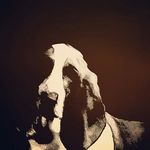 Profile Picture of Jagger Orion Holmes (@blood_gravy) on Instagram