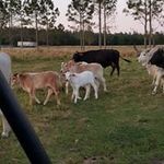 Sandy Johnny McGee - Instagram Profile Picture of Sandy Johnny McGee (@mcgee.sandy) on Instagram