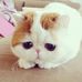 Profile Picture of Lucy Grimes (@lucy.grimes.98) on Facebook